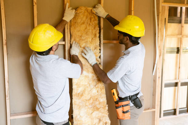 Best Wall Insulation Installation  in Ashton, ID